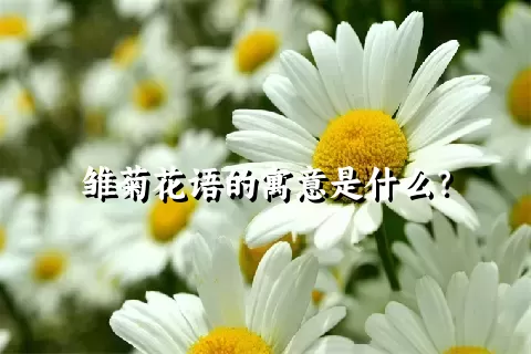 雏菊花语的寓意是什么？