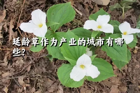 延龄草作为产业的城市有哪些？