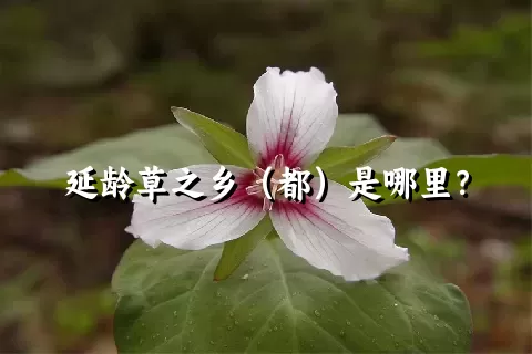 延龄草之乡（都）是哪里？