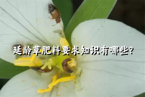 延龄草肥料要求知识有哪些？