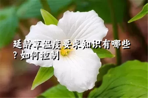 延龄草温度要求知识有哪些？如何控制