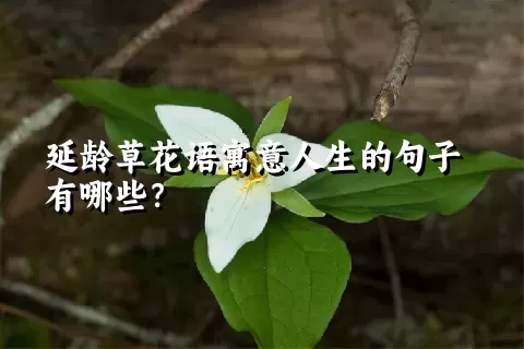 延龄草花语寓意人生的句子有哪些？