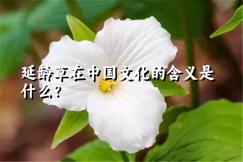 延龄草在中国文化的含义是什么？