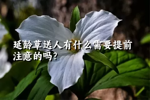 延龄草送人有什么需要提前注意的吗？