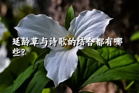 延龄草与诗歌的结合都有哪些？