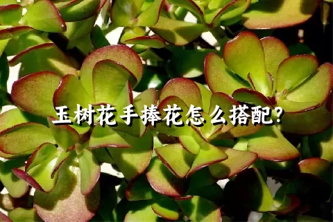 玉树花手捧花怎么搭配？