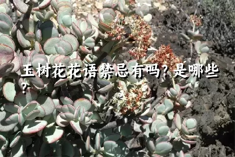 玉树花花语禁忌有吗？是哪些？