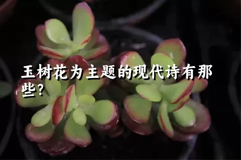 玉树花为主题的现代诗有那些？