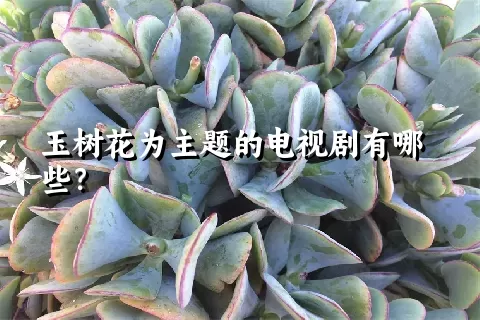 玉树花为主题的电视剧有哪些？