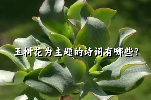 玉树花为主题的诗词有哪些？