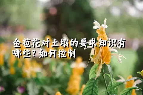 金苞花对土壤的要求知识有哪些？如何控制