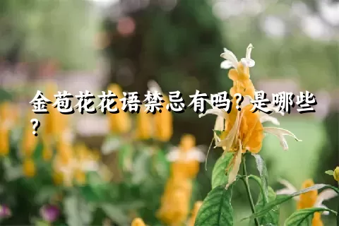 金苞花花语禁忌有吗？是哪些？