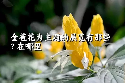 金苞花为主题的展览有那些？在哪里