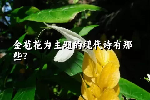 金苞花为主题的现代诗有那些？