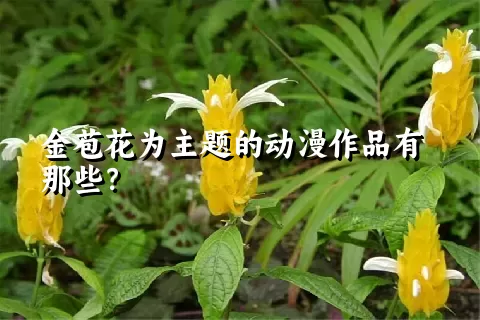 金苞花为主题的动漫作品有那些？