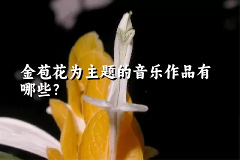 金苞花为主题的音乐作品有哪些？