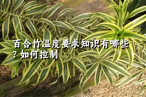 百合竹温度要求知识有哪些？如何控制