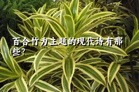 百合竹为主题的现代诗有那些？