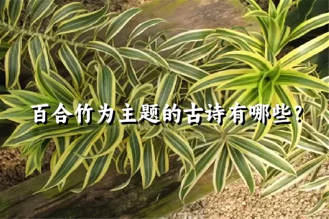 百合竹为主题的古诗有哪些？