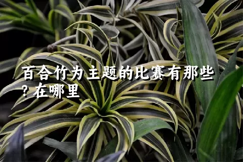 百合竹为主题的比赛有那些？在哪里