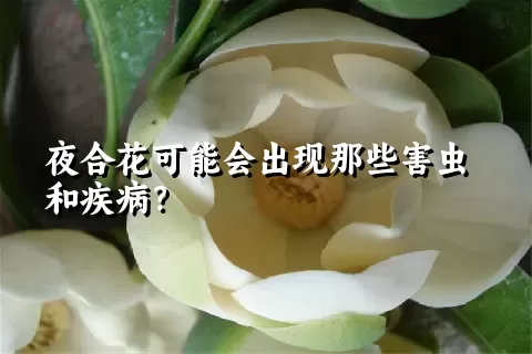 夜合花可能会出现那些害虫和疾病？