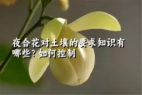 夜合花对土壤的要求知识有哪些？如何控制