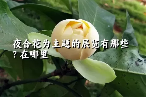 夜合花为主题的展览有那些？在哪里