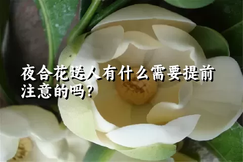 夜合花送人有什么需要提前注意的吗？