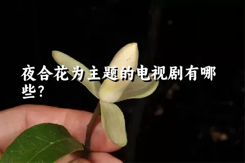 夜合花为主题的电视剧有哪些？