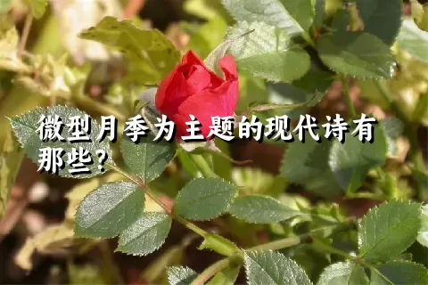 微型月季为主题的现代诗有那些？