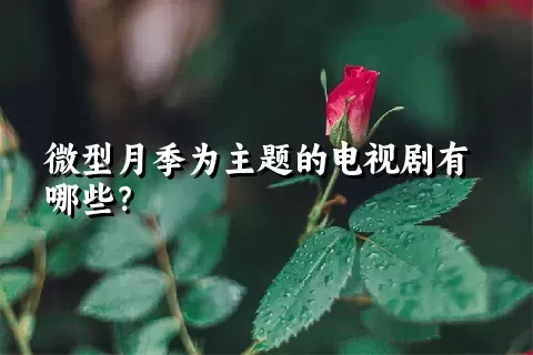 微型月季为主题的电视剧有哪些？