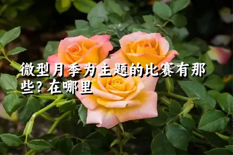 微型月季为主题的比赛有那些？在哪里