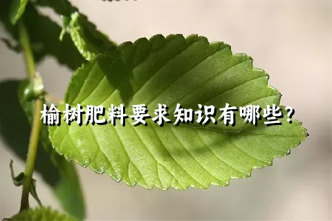 榆树肥料要求知识有哪些？