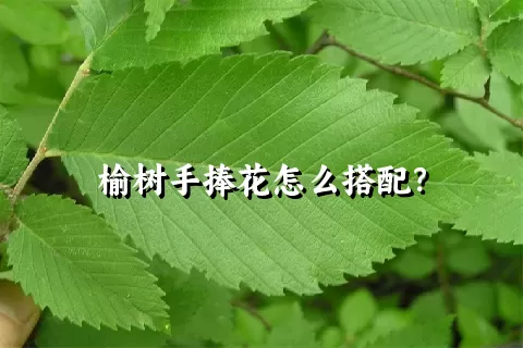 榆树手捧花怎么搭配？