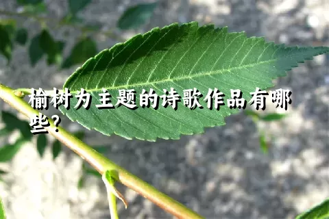 榆树为主题的诗歌作品有哪些？