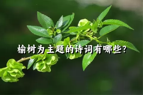 榆树为主题的诗词有哪些？