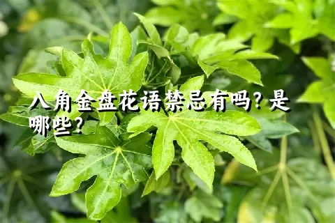 八角金盘花语禁忌有吗？是哪些？