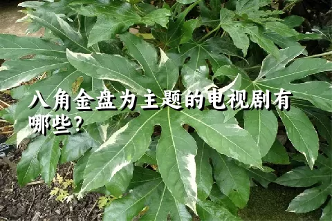 八角金盘为主题的电视剧有哪些？