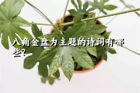 八角金盘为主题的诗词有哪些？