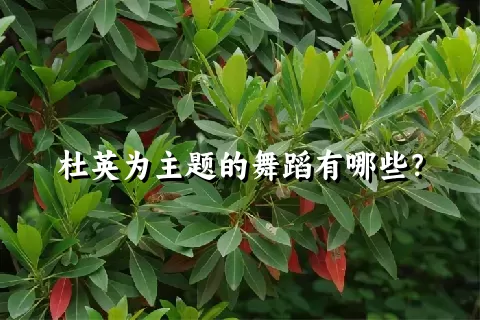 杜英为主题的舞蹈有哪些？