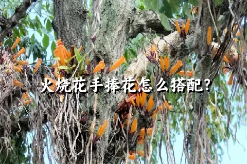 火烧花手捧花怎么搭配？