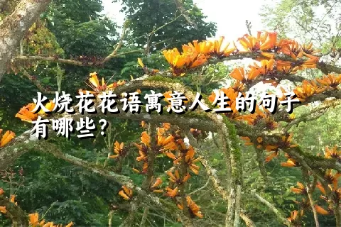 火烧花花语寓意人生的句子有哪些？