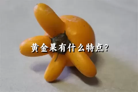 黄金果有什么特点？