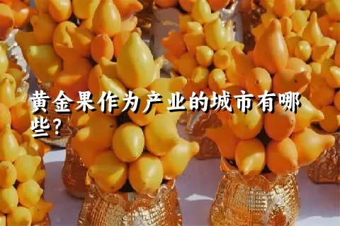 黄金果作为产业的城市有哪些？