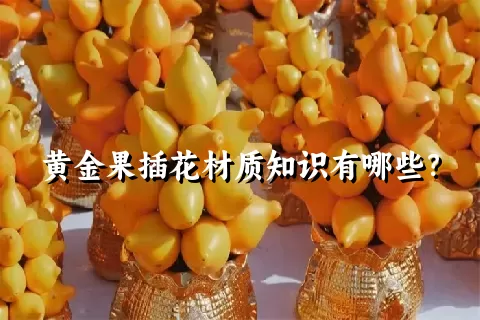 黄金果插花材质知识有哪些？