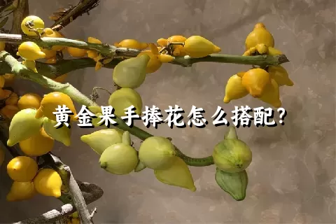 黄金果手捧花怎么搭配？