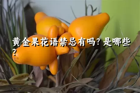 黄金果花语禁忌有吗？是哪些？