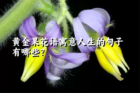 黄金果花语寓意人生的句子有哪些？