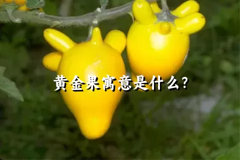 黄金果寓意是什么？