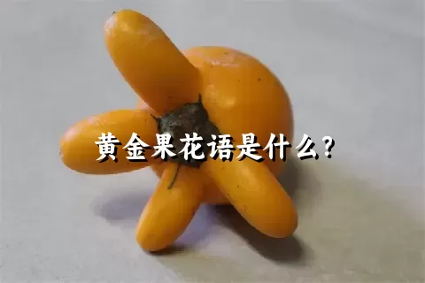 黄金果花语是什么？